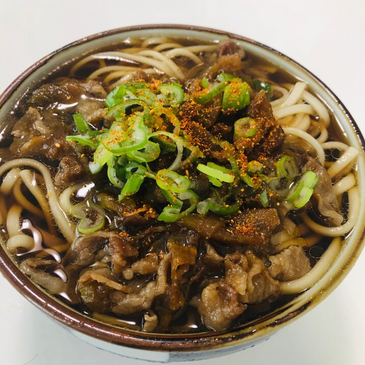 ランチに最適！ネギたっぷりの甘辛肉うどん